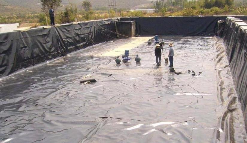 �L�z�����������O���ܱ����ܵ��p��